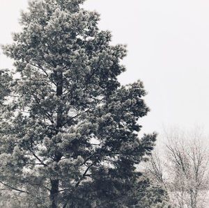 Meet your Posher, Deanna